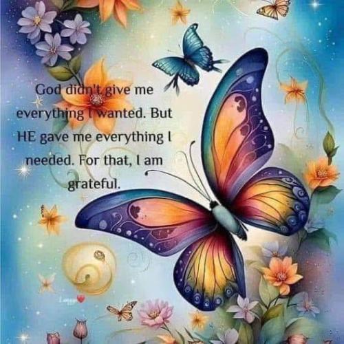 510923650_1258930162267782_5555449534988641090_n