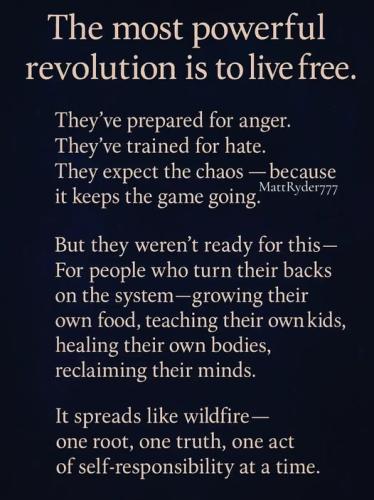 510785183_1263474181930804_7931594180346896773_n