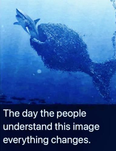 499588209_24136993725886849_2560214269874510725_n