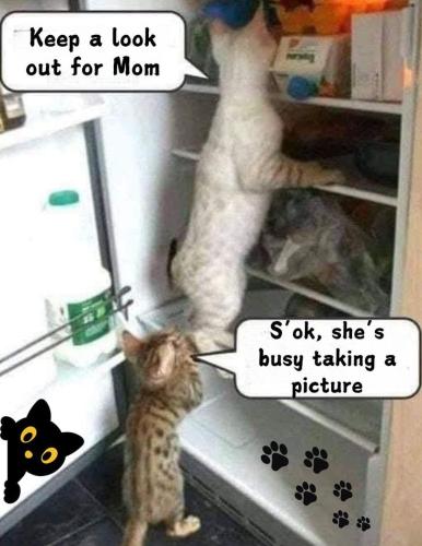 46b6a4bd8a66e84b069b85add321578b