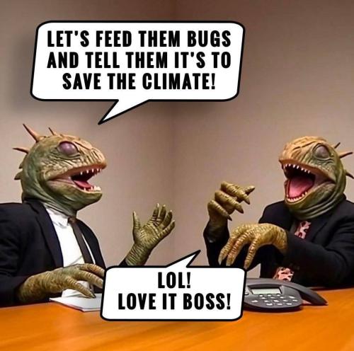 IMG_20250625_164348_834