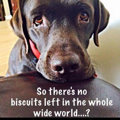 3f170b8d78ecf7d8186100288f52c06c