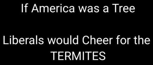 90ED6960-D184-4465-AEFB-66314FB00661