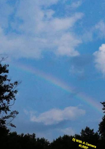 Screenshot_20250617_072714_Gallery