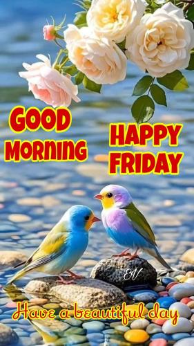 FB_IMG_1750383285685