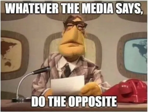 image_2025-06-08_095200349