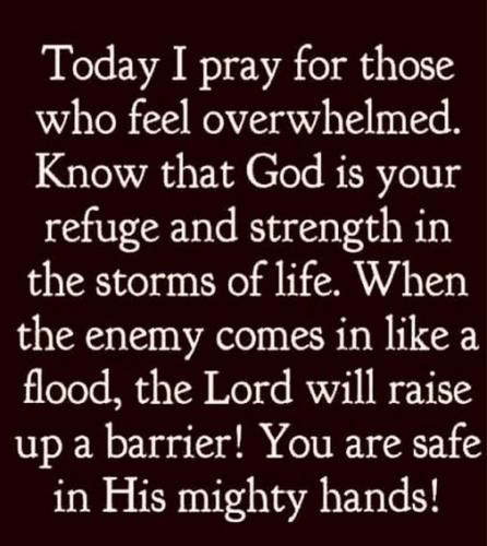 510552955_9932439793471239_5967579243963271684_n