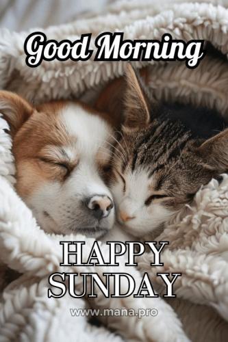 e356ef7662d902e9237de891ce897a35