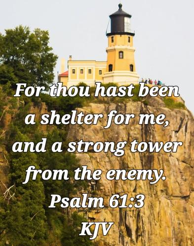 48485f80-3f34-4bc3-8a20-524cefbde9e0