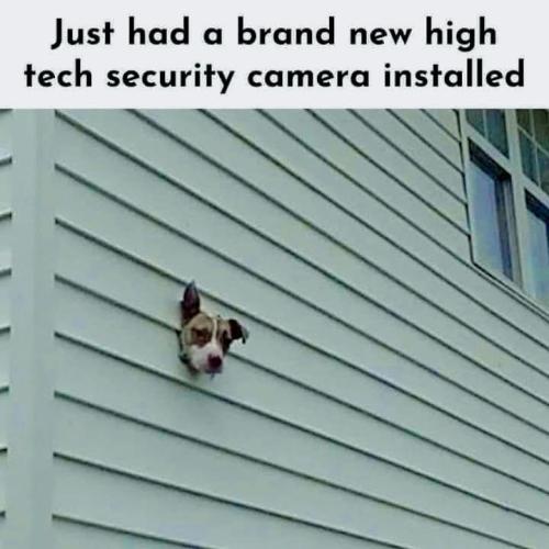 FB_IMG_1750274202991