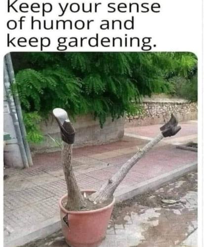 FB_IMG_1749294347545