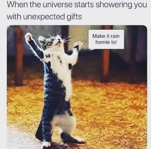 506108817_122288981534010725_2445430768027762240_n