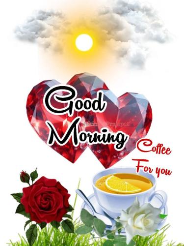 FB_IMG_1749520806552