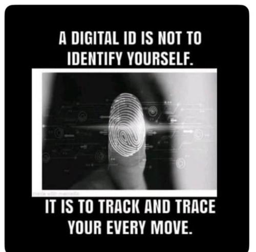 505862751_1253594706543762_5212786672283034908_n