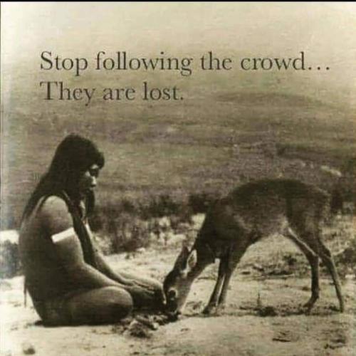 481182404_949184017404312_1784426230526440107_n