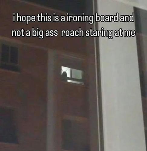 big ass roach
