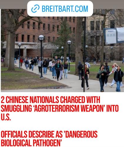 Screenshot_20250603_231919_Instagram