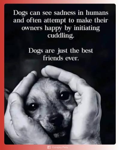 489636386_662694279859188_3763096288514878768_n