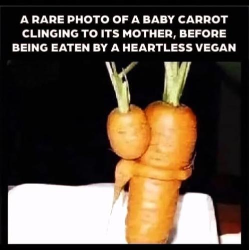 503989690_10227911107909728_2189632039926176578_n