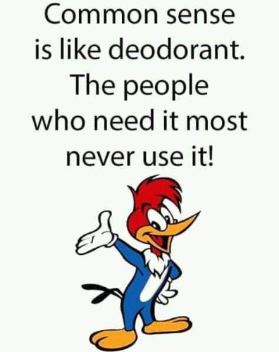 FB_IMG_1559553337369