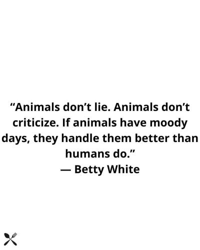 FB_IMG_1749151958555