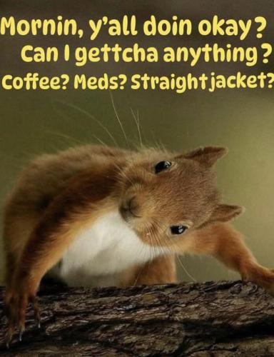 502568908_1793208164929482_4268336420741161910_n