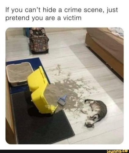 c523e9ac21f68c45a687204280b02cdc