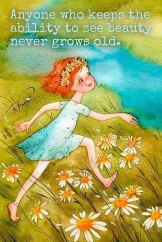 509674107_1278513840949394_1178168856366052551_n