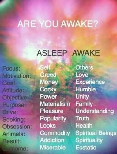 487297690_663053333277529_1639037701197822735_n