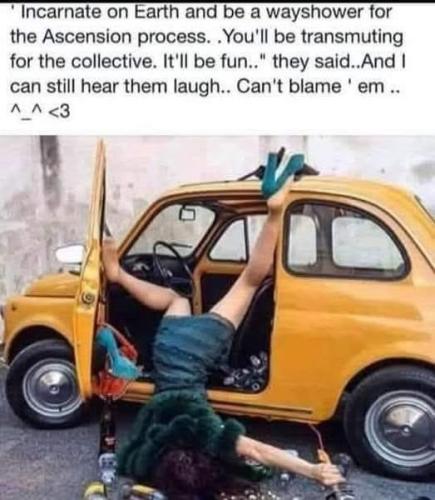 502625157_729969639919231_919141654388819018_n