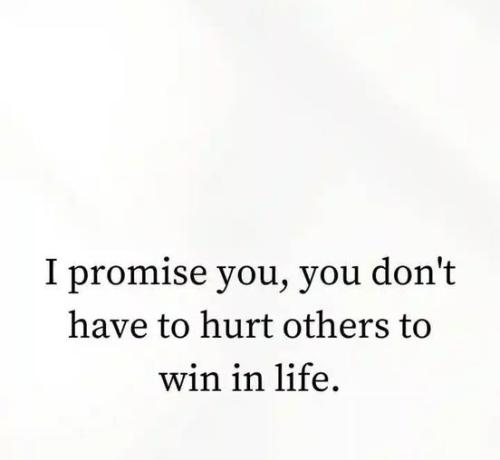 505234238_122256478784024208_4400372123611611104_n