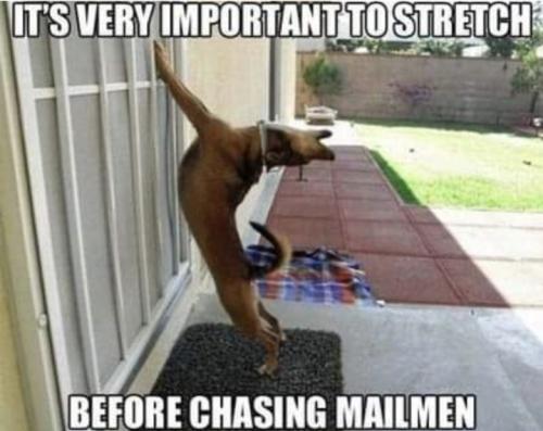 Screenshot_20250606_144337_Gallery