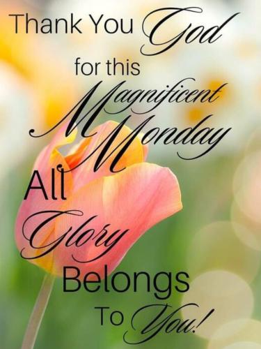 508165037_735744548959894_141655465681364653_n