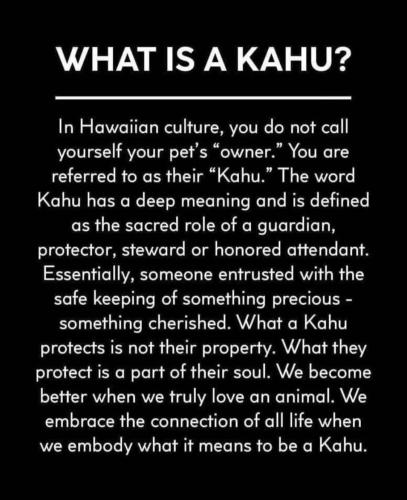 Screenshot_20250603-074758_Facebook