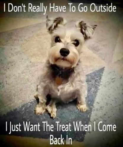 FB_IMG_1750375290431