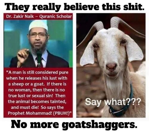 No more goat shaggers grand pubah.960px