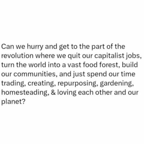 490336368_674414805474715_2016873872712019410_n