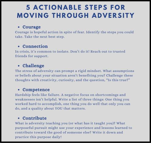 1B-Adversity