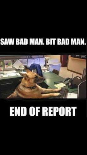 FB_IMG_1749236942612