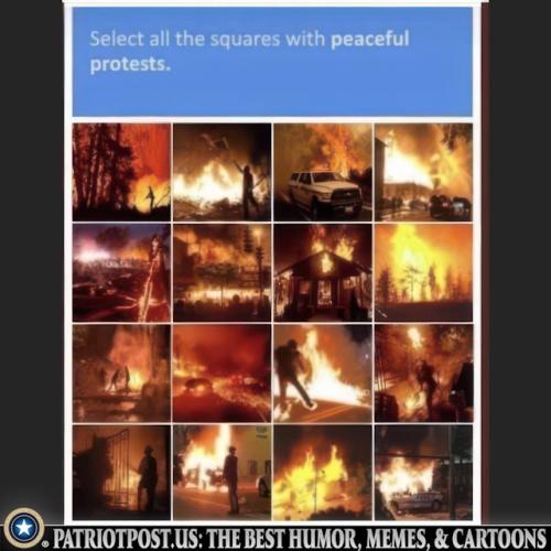 01JYECGMYHTGNEDERNA8DWE95V