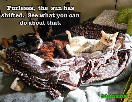 9d419432e394d0063e3cb4596d2442cd