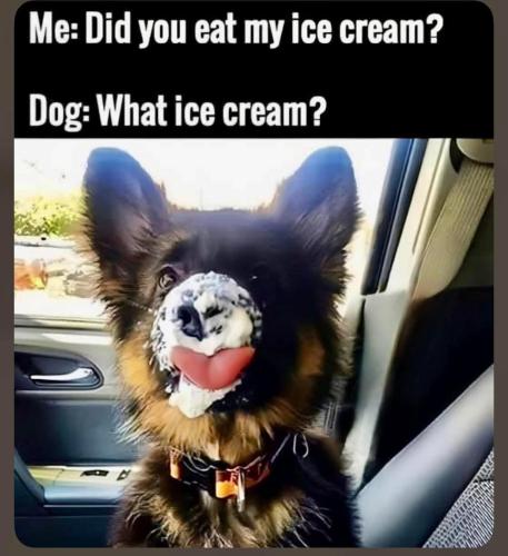 FB_IMG_1749759612706