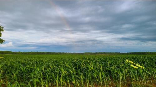 Screenshot_20250619_210303_Lightroom for Samsung