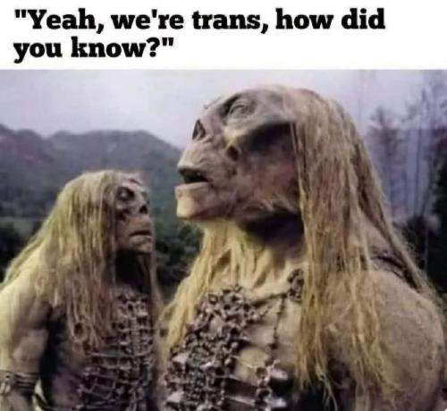 FB_IMG_1750373245138