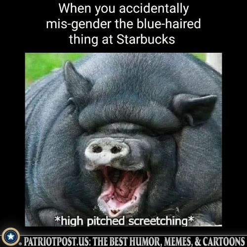 01JWZ6P93XF25PVQAE9AEXJMVK