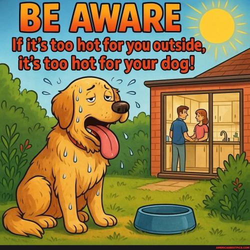 40fc73a445d10dce4f0f69afeffad189b87e0b71ced2ac6c04858e30d0d0cca6_1