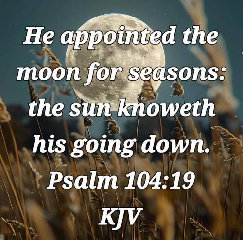 a160c305-058d-44ae-8427-6a49bf68d4f1