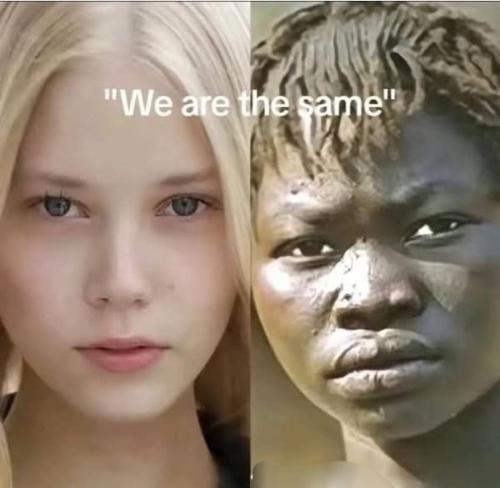 IMG_20250629_093324_626