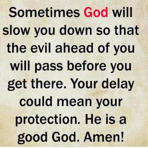 FB_IMG_1750273044240