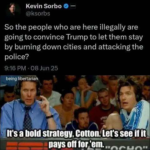 photo_2025-06-12_10-25-59